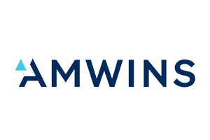 AmWINS insurance